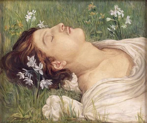 Narcissus, 1876